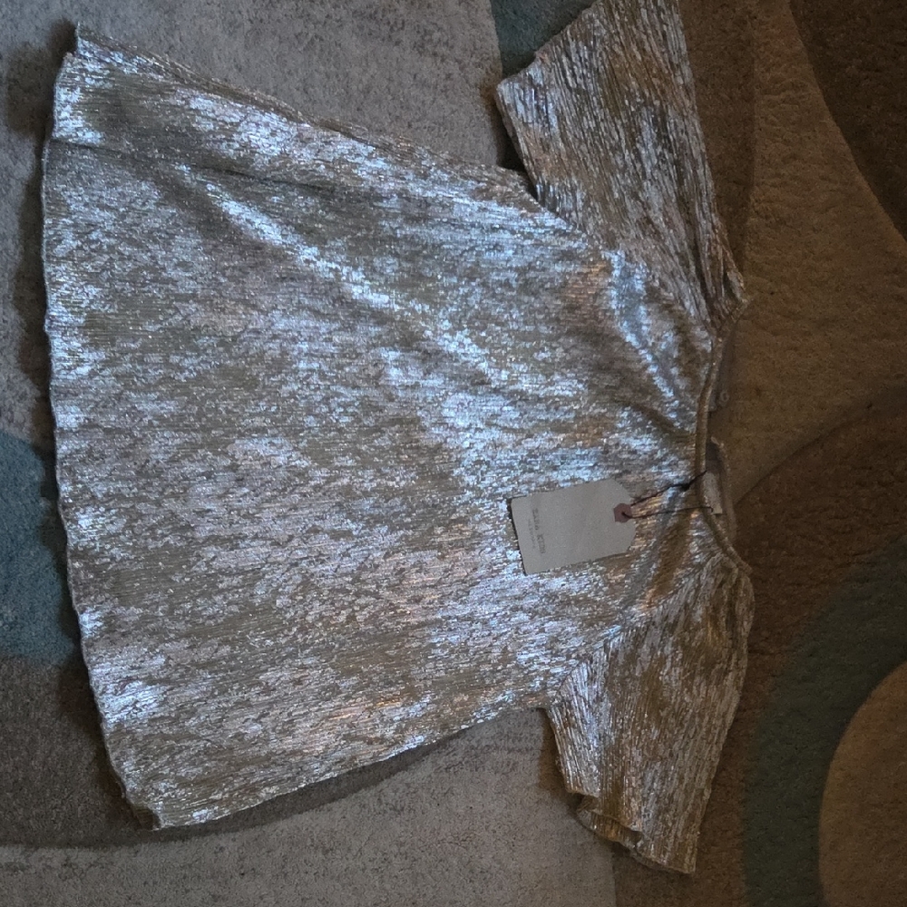 Zara Shimmering Silver Short Sleeve Top